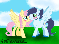 Size: 2400x1800 | Tagged: safe, artist:smileverse, fluttershy, soarin', pegasus, pony, blushing, braid, eye contact, female, garden, looking at each other, male, shipping, soarinshy, spread wings, straight