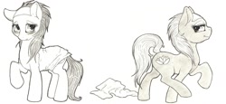 Size: 1280x591 | Tagged: safe, artist:dimwitdog, aloe, lotus blossom, bedroom eyes, blushing, looking at you, monochrome, raised hoof, raised leg, raised tail, smiling, spa twins, towel