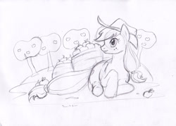 Size: 855x612 | Tagged: safe, artist:trunksi, applejack, earth pony, pony, apple, apple orchard, food, monochrome, orchard, prone, sketch, solo, sweet apple acres