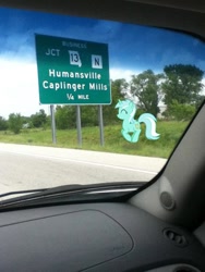 Size: 720x960 | Tagged: safe, lyra heartstrings, hitchhiking, irl, meta, photo, ponies in real life