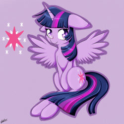 Size: 1000x1000 | Tagged: safe, artist:riouku, derpibooru import, part of a set, twilight sparkle, twilight sparkle (alicorn), alicorn, pony, female, fulfilled cutie mark, mare, solo