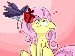 Size: 640x480 | Tagged: safe, artist:pinkymynery2212, fluttershy, bird, pegasus, pony, blushing, crack shipping, crossover, crossover shipping, cute, floppy ears, flutterdove, flying, gift giving, heart, heart eyes, lol, looking up, mouth hold, present, shipping, shivering, shyabetes, sitting, smiling, trash dove, valentine's day, wat, wide eyes, wingding eyes