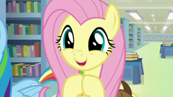 Size: 1280x720 | Tagged: safe, derpibooru import, screencap, fluttershy, rainbow dash, pegasus, pony, daring doubt, cute, shyabetes