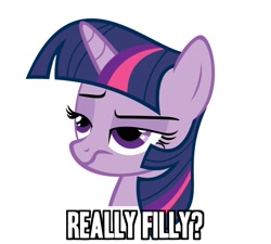 Size: 900x810 | Tagged: safe, derpibooru import, twilight sparkle, caption, exploitable meme, image macro, meme, reaction image, simple background, text, unamused, vector, white background