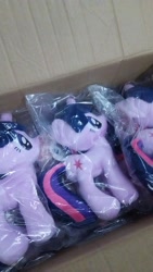 Size: 562x1000 | Tagged: safe, derpibooru import, twilight sparkle, 4de, irl, photo, plushie