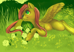 Size: 900x636 | Tagged: safe, artist:trojan-pony, fluttershy, pegasus, pony, flower, fluffy, grass, meadow, prone, solo