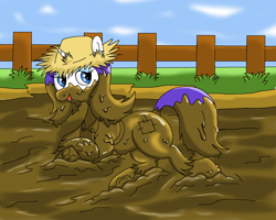 Size: 2000x1600 | Tagged: safe, alternate version, artist:amateur-draw, rarity, pony, unicorn, fence, hat, mud, mud pony, muddy, overalls, pig pen, rarihick, solo, straw hat, wet and messy