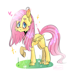 Size: 1200x1200 | Tagged: safe, artist:alis550, fluttershy, pegasus, pony, blushing, cheek fluff, folded wings, looking at you, raised hoof, simple background, solo, standing, unshorn fetlocks, white background