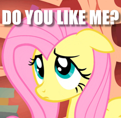 Size: 468x456 | Tagged: safe, fluttershy, pegasus, pony, bronybait, cute, image macro, looking up, meme, puppy dog eyes, question, shyabetes, solo