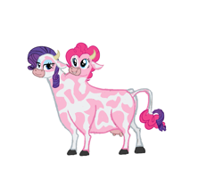 Size: 1161x887 | Tagged: source needed, useless source url, safe, artist:theunknowenone1, pinkie pie, rarity, cow, brahmin, conjoined, cowified, effort, fusion, multiple heads, pincow pie, raricow, simple background, smiling, species swap, two heads, udder, we have become one, white background