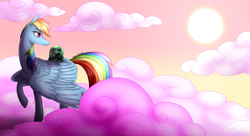 Size: 1980x1080 | Tagged: safe, artist:technodjent, derpibooru import, rainbow dash, tank, pegasus, pony, turtle, cloud, sun