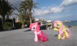 Size: 2560x1536 | Tagged: safe, artist:dutchbronyfan, fluttershy, pinkie pie, canary islands, cloud, irl, las palmas, ocean, palm tree, photo, ponies in real life, spain, toy, tree