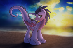 Size: 1024x668 | Tagged: safe, artist:drawponies, derpibooru import, twilight sparkle, twilight sparkle (alicorn), alicorn, dragon, pony, beach, blushing, dragonified, species swap, sunset, twilidragon