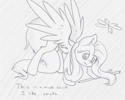 Size: 750x600 | Tagged: safe, artist:malwinters, fluttershy, pegasus, pony, behaving like a bird, bitches love sticks, dialogue, lemme smash, looking at something, looking down, monochrome, parody, solo, spread wings, stick