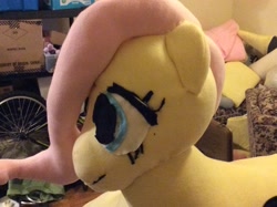 Size: 2592x1936 | Tagged: safe, artist:ponylover88, fluttershy, irl, photo, solo