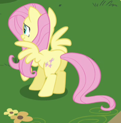 Size: 312x317 | Tagged: safe, screencap, fluttershy, pegasus, pony, it ain't easy being breezies, cropped, female, mare, plot, solo, spread wings, wings