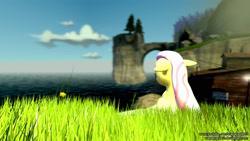 Size: 1920x1080 | Tagged: safe, artist:wapamario63, fluttershy, pegasus, pony, 3d, floppy ears, gmod, solo, sunny