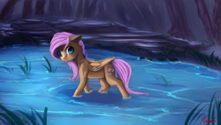 Size: 1920x1080 | Tagged: safe, artist:miokomata, fluttershy, pegasus, pony, clearing, female, forest, mare, pond, solo, swamp