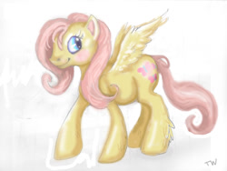 Size: 1200x900 | Tagged: safe, artist:sharkledog, fluttershy, pegasus, pony, female, mare, smiling, solo