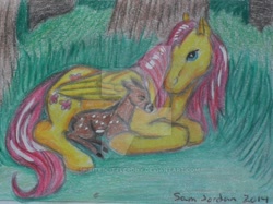 Size: 600x449 | Tagged: safe, artist:spiritedlittlepony, fluttershy, deer, pegasus, pony, fawn, solo, traditional art, watermark