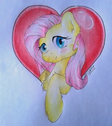 Size: 1920x2161 | Tagged: safe, artist:coffytacotuesday, fluttershy, pegasus, pony, blushing, chest fluff, heart, solo, traditional art