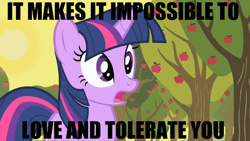 Size: 1280x720 | Tagged: safe, derpibooru import, edit, edited screencap, screencap, twilight sparkle, image macro, love and tolerate, meme, reaction image