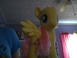 Size: 1024x768 | Tagged: safe, artist:thecreativesonicpega, fluttershy, human, irl, irl human, photo, solo, toy
