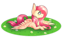 Size: 751x448 | Tagged: safe, artist:blitsazalisdash, artist:lnspira, color edit, edit, fluttershy, pegasus, pony, collaboration, colored, flower, grass, prone, solo, spread wings