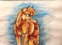 Size: 4236x3069 | Tagged: safe, artist:artmadebyred, applejack, earth pony, pony, chest fluff, fluffy, snow, snowfall, solo, traditional art, watercolor painting