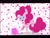 Size: 2048x1536 | Tagged: safe, artist:aquaangel1010, pinkie pie, earth pony, pony, ball, pointy ponies, smiling, solo