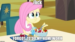 Size: 888x499 | Tagged: safe, fluttershy, equestria girls, image macro, meme, solo, vulgar