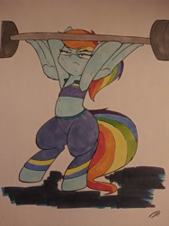 Size: 3072x4096 | Tagged: safe, artist:taurson, derpibooru import, rainbow dash, pegasus, pony, clothes, solo, traditional art, weight lifting, weights