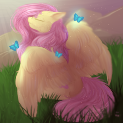 Size: 1000x1000 | Tagged: safe, artist:peachmayflower, fluttershy, butterfly, pegasus, pony, beautiful, eyes closed, grass field, large wings, rear view, signature, sitting, smiling, solo, spread wings, sunlight, wings