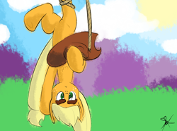 Size: 2048x1516 | Tagged: safe, artist:marvelousqueen, applejack, earth pony, pony, hanging, solo, tied up