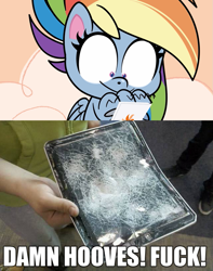 Size: 853x1080 | Tagged: safe, derpibooru import, edit, edited screencap, editor:wild stallions, screencap, rainbow dash, pegasus, pony, my little pony: pony life, the fluttershy effect, spoiler:pony life s01e10, animated, broken glass, broken screen, caption, female, image macro, ipad, mare, meme, raised hoof, reality ensues, smashed, tablet, text, vulgar