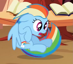 Size: 507x450 | Tagged: safe, derpibooru import, screencap, rainbow dash, pegasus, pony, lesson zero, book, cropped, derp, golden oaks library, picture for breezies, solo