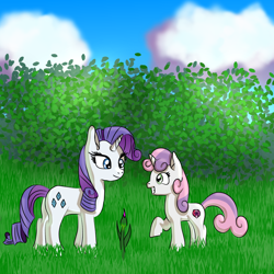 Size: 2048x2048 | Tagged: safe, artist:platinumdrop, rarity, sweetie belle, pony, unicorn, bush, cloud, female, flower, grass, sisters