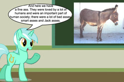 Size: 887x588 | Tagged: safe, lyra heartstrings, donkey, chalkboard, human studies101 with lyra, meme, photo