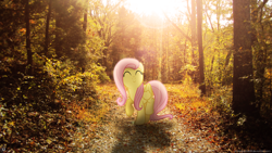 Size: 1920x1080 | Tagged: safe, artist:drakesparkle44, artist:givralix, fluttershy, eyes closed, forest, happy, irl, leaves, pathway, photo, ponies in real life, shadow, solo, tree, vector