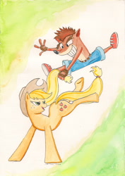 Size: 1644x2318 | Tagged: safe, artist:souleatersaku90, applejack, earth pony, pony, crash bandicoot, crossover, traditional art, watercolor painting