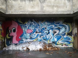 Size: 1280x960 | Tagged: safe, artist:alvin, artist:littlemunk, pinkie pie, graffiti, irl, photo, solo, spray