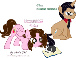 Size: 3478x2637 | Tagged: safe, artist:shinta-girl, oc, oc only, oc:shinta pony, hamster