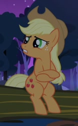 Size: 356x573 | Tagged: safe, screencap, applejack, earth pony, pony, sleepless in ponyville, cold, cropped, crossed arms, freezing, shivering, sitting