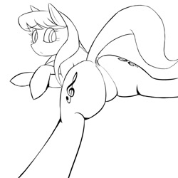 Size: 900x900 | Tagged: safe, artist:pogans, octavia melody, earth pony, pony, black and white, featureless crotch, grayscale, plot, solo