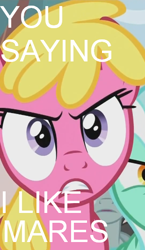 Size: 310x533 | Tagged: safe, screencap, cherry berry, lyra heartstrings, neon lights, rising star, the super speedy cider squeezy 6000, arial, hiimdaisy, image macro, meme, persona, persona 4, text