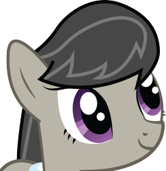 Size: 1729x1781 | Tagged: safe, octavia melody, earth pony, pony, female, gray coat, image macro, mare