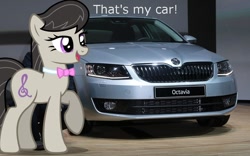 Size: 960x600 | Tagged: editor needed, safe, edit, octavia melody, earth pony, pony, bowtie, car, female, mare, namesake, open mouth, ponies in real life, pun, skoda, skoda octavia, solo, that's my x