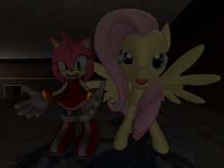 Size: 1024x768 | Tagged: safe, artist:migueruchan, fluttershy, pegasus, pony, 3d, amy rose, crossover, flutterrage, gmod, sonic the hedgehog (series)