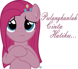 Size: 2000x1781 | Tagged: safe, artist:arifproject, pinkie pie, earth pony, pony, crying, malay, pinkamena diane pie, quote, simple background, solo, translated in the description, transparent background, vector