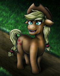 Size: 2303x2895 | Tagged: safe, artist:kukotte, applejack, earth pony, pony, crying, happy, night, solo, tears of joy